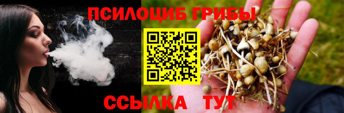 Псилоцибиновые грибы Psilocybe Звенигород
